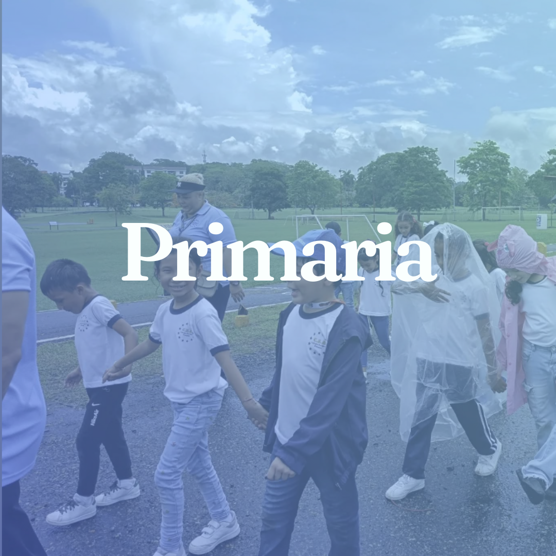 Primaria web